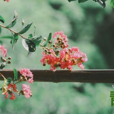 皇冠新体育APP官方入口