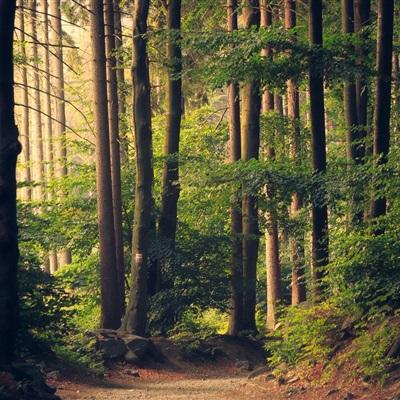 江南体育·(JN)官方网站