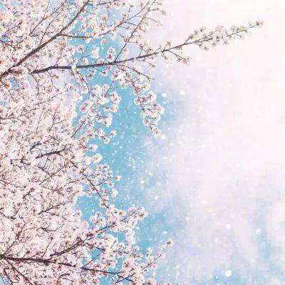 欢乐斗牛腾讯手机app下载