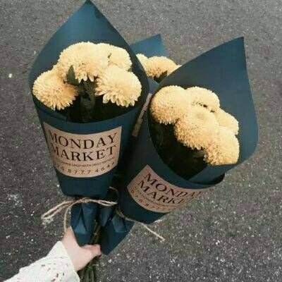 kaiyun体育最新版