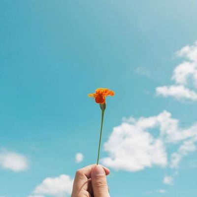 BOB·体育综合(综合)APP下载安装app下载