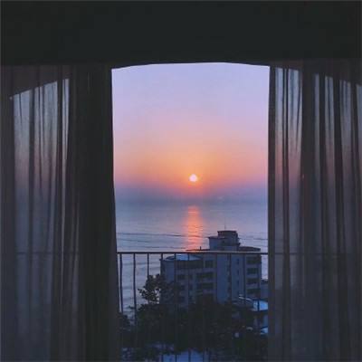 半导综合体育下载