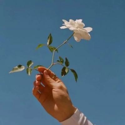 BOB·体育综合(综合)APP下载安装app下载截图