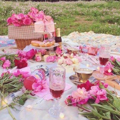 49图库一资料中心手机app下载