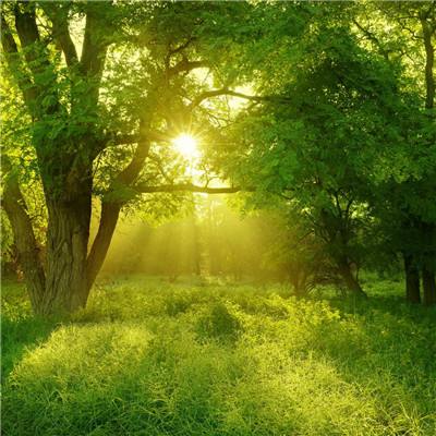 博鱼中国官网下载入口截图